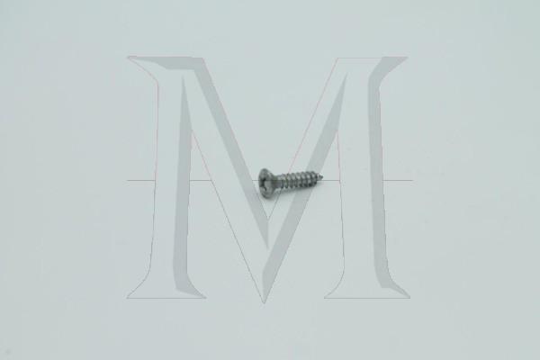 GRILLE MOUNTING SCREW